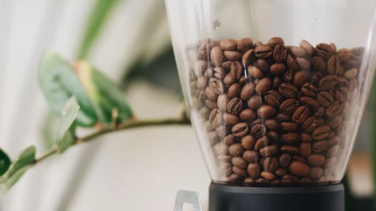 Roasted coffee beans filling the hopper of an electric grinder